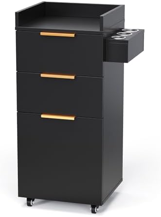 OmySalon Salon Cart with Wheels, 3-Tier Rolling Hair Styling Station, 2 Drawers & Adjustable Shelf, Hair Dryer Holder, Mobile Organizer for Salon, Barber, Spa, Nail & Beauty Tools, Black by OmySalon
