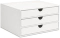 UnionBasic Document Organizer, 3-Drawer File Cabinet Document Storage Box, Office Desktop Filing Organizer, White by UnionBasic