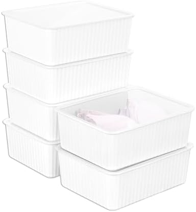 Cetomo Plastic Underwear Drawer Organizer with Lid, Lidded Storage Box for Bras, Plastic Basket for Closet and Shelf, Stackable, White (31 x 24 x 11 cm) by Cetomo