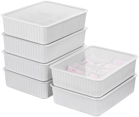 Cetomo 10 Cells Plastic Underwear Sock Drawer Organizer with Lid, Lidded Storage Box with Dividers for Bras and Socks, Basket for Closet, Stackable, Gray, 10 Compartments (31 x 24 x 8 cm) by Cetomo