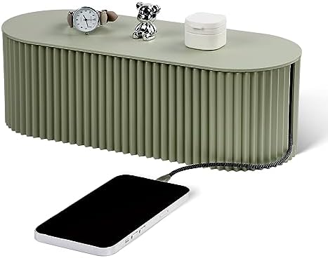 Cable Management Box Large Cable Organizer Box for Power Strips, Surge Protectors, Chargers, Adapters, TV Computer Wires Cable Hider Organizer Box with Cable Ties，Wire Ties - Green by RAMFIYN