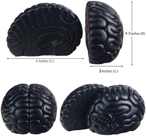 Brain Bookends Office Decorative Bookends for Shelves Heavy Bookends Book Stoppers Book Holders for Desk Decoration (Black) - Image 5