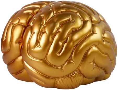 Brain Bookends Office Decorative Bookends for Shelves Heavy Bookends Book Stoppers Book Holders for Desk Decoration (Gold) by Unknown