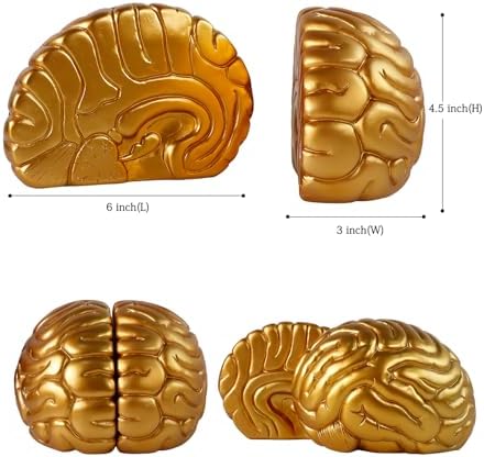 Brain Bookends Office Decorative Bookends for Shelves Heavy Bookends Book Stoppers Book Holders for Desk Decoration (Gold) - Image 6