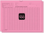 Accounts Payable Voucher Envelopes General Accounting Style, Pink 100 Pack by Unknown