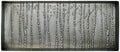 HF by LT Birch Forest Pattern Metal Boot Tray, 30 x 13 inches, Antique Zinc Finish by HFbyLT