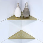 10" Corner Shower Shelf, 2-Pack Shower Shelves SUS304 Stainless Steel Bathroom Shelves for Tile Walls, Recessed Corner Shelf Organizer Rack, No Drilling (Brushed Gold) by XiarnotogiHome