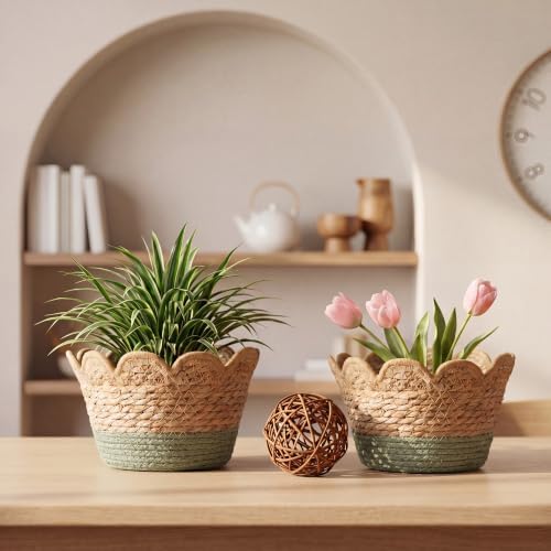 AceOrbit 6 Pcs Scalloped Seagrass Plant Basket, Medium, Brown and Green - Image 4