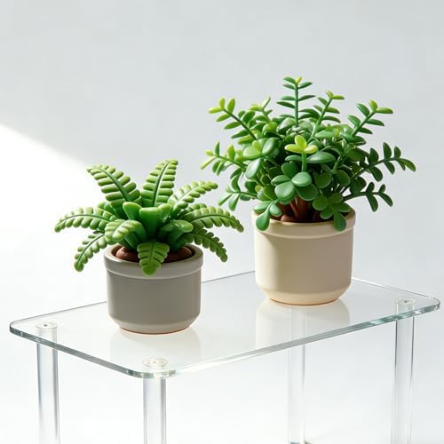 Acrylic Risers Display Stands 6mm Thick Rectangular 4-leg Acrylic Plant Stand, Clear Shelf Riser for Home Decor and Organizer (16x10x8 inch) - Image 2