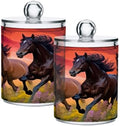 Horse Riders in The Sunset 4 Pack Clear Plastic Qtip Holder Dispenser Set,Bathroom Storage Canister for Cotton Swabs, Balls, Dental Floss,Pads,Organize with Apothecary Jars by Unknown