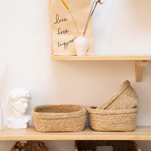 Kingwillow Square Seagrass Baskets for Organizing, Set of 3 - Image 3