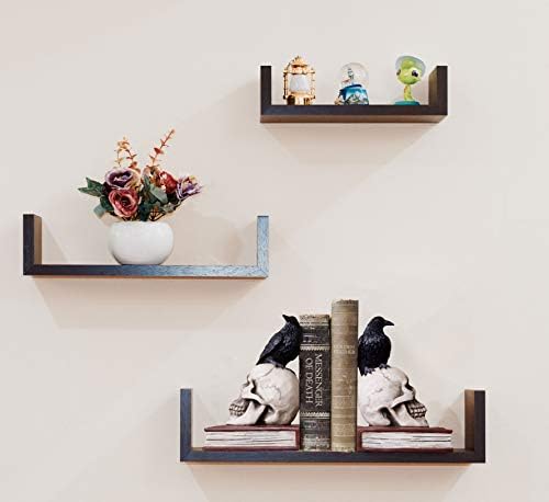 Evil Omen Raven On Skull Perch Decorative Bookend Set - Image 7