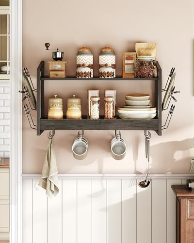 CHOEZON Hanging Pot Rack, Pot Rack Wall Mounted, 2-Tier Kitchen Pot and Lid Organizer, Wall-Mounted Cookware Holder with 12 Hooks, for Kitchen Storage of Pots, Pans, Utensils, Charcoal Black TPR02BC - Image 2