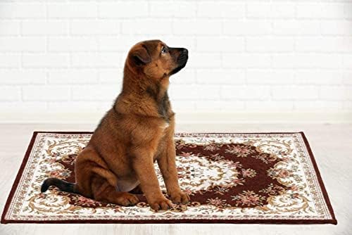 CHICHIC 48 x 32 Inch Coffee Indoor Door Mat for Home Entrance, Front Door Mat Indoor Inside Outdoor Outside Entryway Rugs Welcome Mat Anti-Slip Rubber Back Low Profile - Image 7