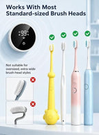 UV Toothbrush Sanitizer Toothbrush Holders with Hot Drying - Image 3