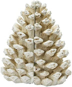 Creative Co-Op Resin Pinecone Bookends, Antique White - Image 4
