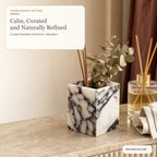 Real Marble Toothbrush Holder, Calacatta Viola Marble Bathroom Organizer - Image 3