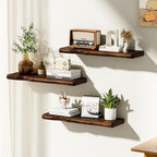 Organic Wavy Edge Floating Shelves,Hidden Brackets,2 Pack 24 in - Image 2