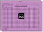 Accounts Payable Voucher Envelopes General Accounting, Lavender 300 Pack by Unknown