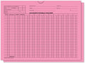 Accounts Payable Voucher Envelopes (Pink) by FLYWHEEL