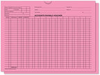 Accounts Payable Voucher Envelopes (Pink) by FLYWHEEL