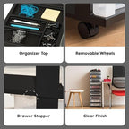 IRIS USA 2 Pack 10-Drawer Plastic Storage Rolling Organizer Cart with Caster Wheels for Laundry Room, Bathroom, or Closet Dresser Storage, Black/Clear - Image 5