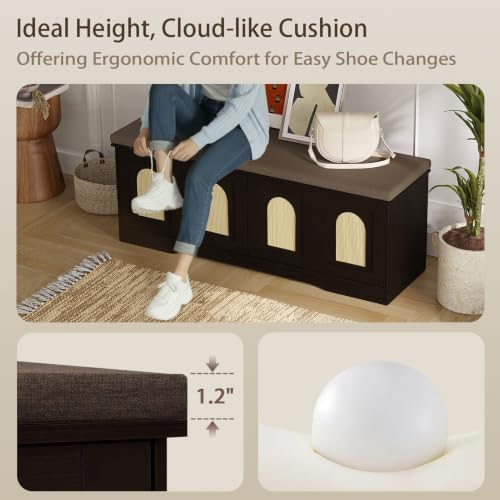 DINZI LVJ Shoe Storage Bench with Cushion, Door, Espresso Oak 47.2"LX17.7"H - Image 3