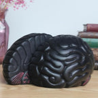 Brain Bookends Office Decorative Bookends for Shelves Heavy Bookends Book Stoppers Book Holders for Desk Decoration (Black) - Image 4