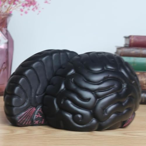 Brain Bookends Office Decorative Bookends for Shelves Heavy Bookends Book Stoppers Book Holders for Desk Decoration (Black) - Image 4