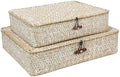 Set of 2 Flat Seagrass Storage Bins with Lid Wicker Storage Baskets for Organizing, Woven Shelf Organizer Bins Home Utility Organizer Box for Home & Office Supplies by FOSSORH