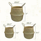 Seagrass Plant Basket Set of 3 with Handles – Handwoven Woven Basket Planter, Indoor Plant Basket & Plant Holder Basket, Natural Fiber Wicker Plant Pot Basket for Boho Farmhouse Home Decor - Image 2
