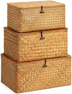 Nonam Large Wicker Basket with Lid,Seagrass Shelf Basket Set of 3,Nautral by Home