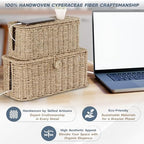 Bluewest 2-Pack Cable Management Box with Lids, Rattan Cord Organizer - Image 2