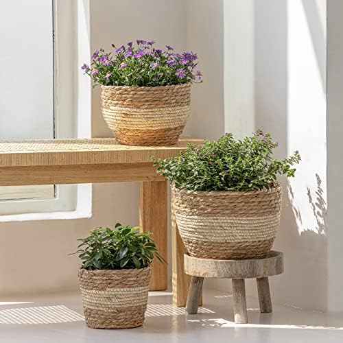 LA JOLIE MUSE Seagrass Basket Planters for Indoor Plants, Flower Pot 3 Pack - Image 2