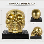 Skull Book Ends, Decorative Bookends for Shelves, Vintage Style Skull Bookend Design Resin Skeleton Human Head Statue Halloween Décor (Gold) - Image 2