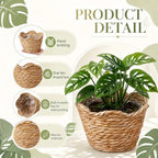 4 Pack Seagrass Woven Plant Basket with Waterproof Plastic Liner, Wicker Straw Storage Basket for Indoor Outdoor Plants, Laundry Organizer (6.3" x 5.51" x 5.12") - Image 3