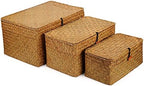 Woven Wicker Storage Bins with Lid, Seagrass Basket for Shelf Organizer, Extra Large, Set of 3 by DOKOT