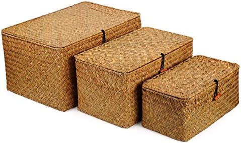 Woven Wicker Storage Bins with Lid, Seagrass Basket for Shelf Organizer, Extra Large, Set of 3 by DOKOT