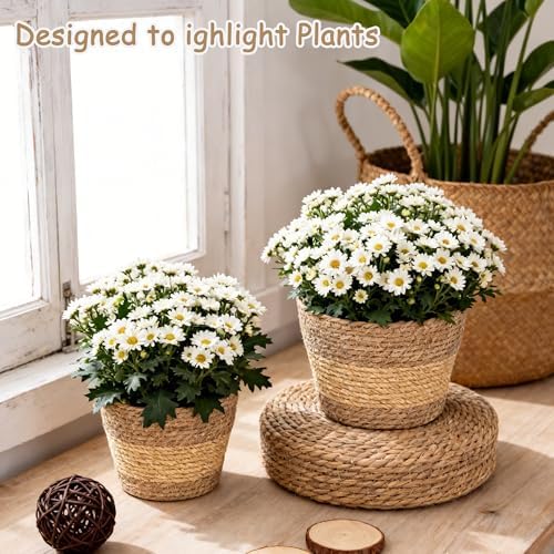 Woven Plant Basket,Round Seagrass Wicker Planter for Indoor - Image 5