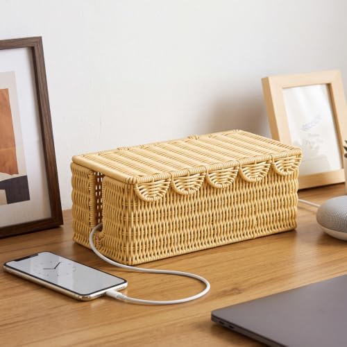 Novabright Rattan Cable Management Box with Scalloped Lid, Natural by Unknown