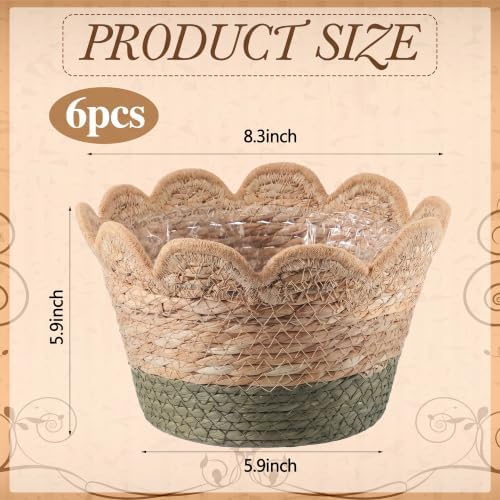 AceOrbit 6 Pcs Scalloped Seagrass Plant Basket, Medium, Brown and Green - Image 5