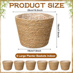 6Pcs Large Premium Seagrass Planter Basket with Plastic Lining Natural Stylish Planter Baskets Indoor Outdoor Plants Woven Wicker Baskets for Plants Flower Pots Cover Room Decor(10.2x7.5x7.5) - Image 2
