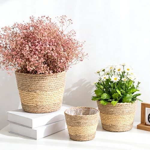Woven Plant Basket,Round Seagrass Wicker Planter for Indoor - Image 4