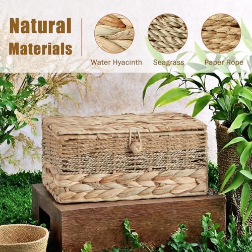 2PCS Wicker Storage Baskets with Lids Decorative Rattan Boxes - Image 2