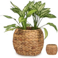Cabilock Handwoven Hyacinth Planter Basket, Natural Woven Rattan Storage Basket for Small Plants, Eco-Friendly Indoor & Outdoor Decorative Pot Cover for Farmhouse, Boho Home Decor by cabilock