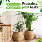 Knitgrip Large Wicker Plant Basket with Handle 10 Inch Woven Seagrass Belly Basket and Artificial Moss for House Plants Picnic Grocery Laundry Storage Home Decor(Large,Original,2 Pack) - Image 4