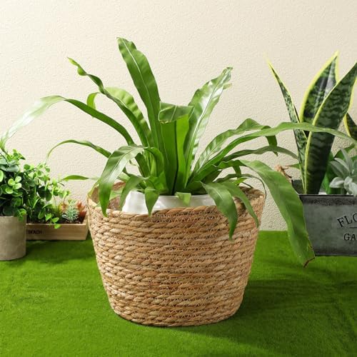 Beavorty Woven Flower Basket Seagrass Plant Basket with Plastic Liner Indoor Woven Plant Pot for Flowers Succulents Home Office Garden Decor 9.84 X 7.48 X 7.48 in - Image 3