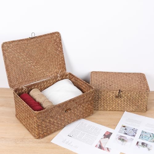 FEIALNDUO Wicker Shelf Baskets with Lid,Seagrass Storage Basket Bins Rectangular Handwoven Basket Boxes for Shelves Desktop Home Organizer (Coffee, Large) - Image 3
