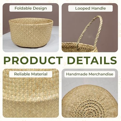 Seagrass Plant Basket Set of 3 with Handles – Handwoven Woven Basket Planter, Indoor Plant Basket & Plant Holder Basket, Natural Fiber Wicker Plant Pot Basket for Boho Farmhouse Home Decor - Image 4