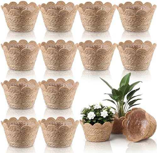 AceOrbit 12 Pcs Scalloped Seagrass Plant Basket, Medium, Brown by Unknown